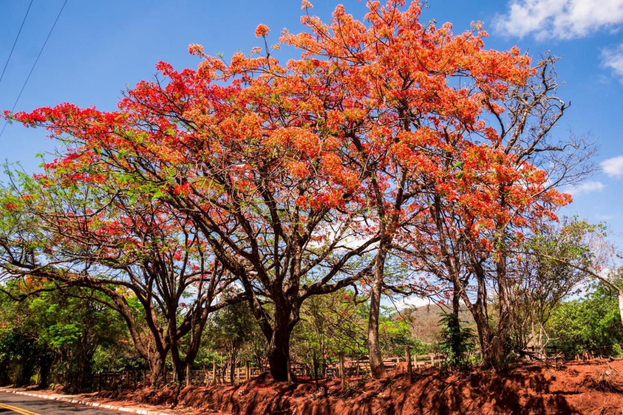 Pousada Country Santana'S Ranch Sao Pedro  Exterior foto